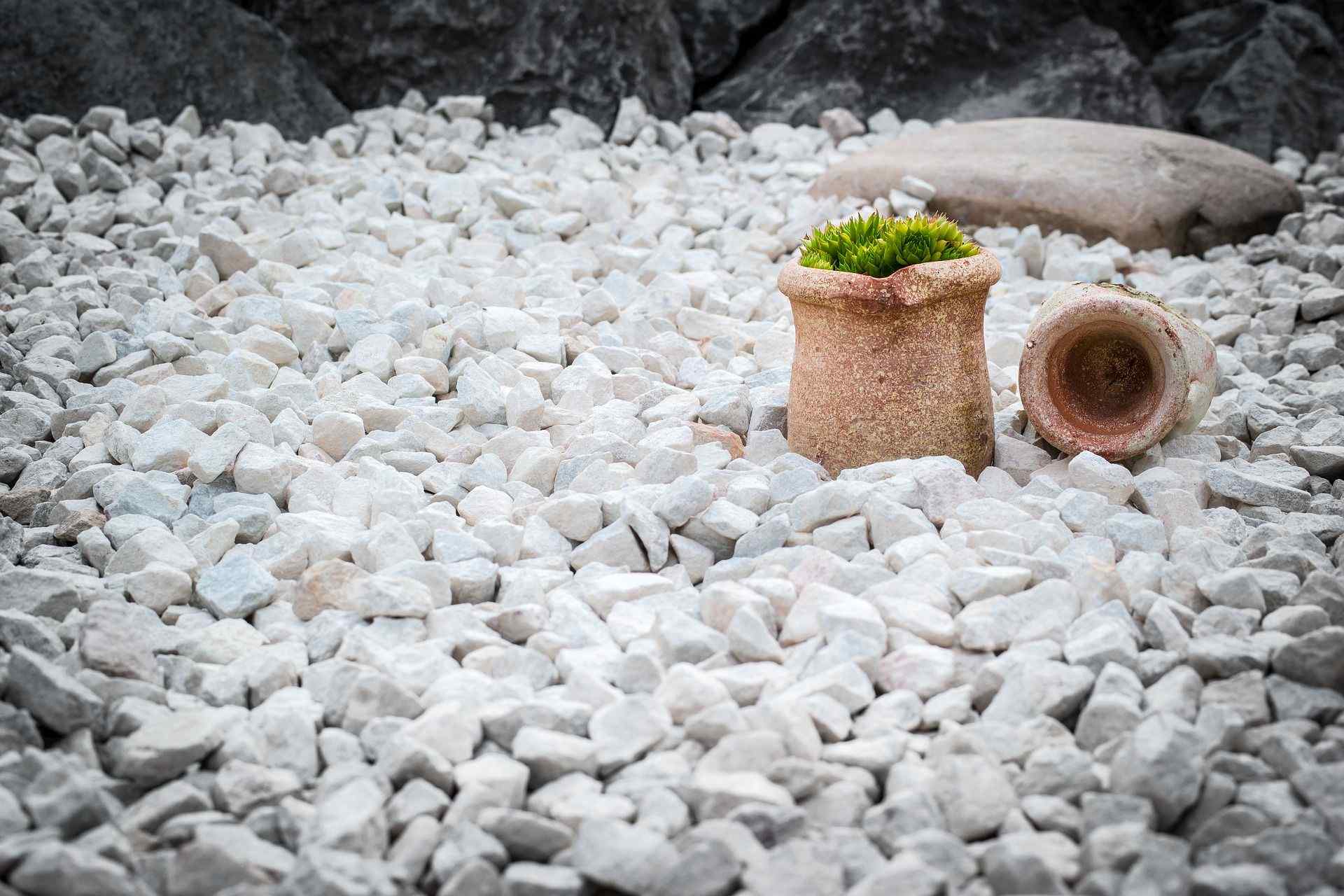 Categoría «Jardines con piedras blancas» de fotos e imágenes